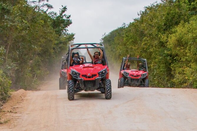 Jungle Buggy Tour from Playa del Carmen Including Cenote Swim - Group size and the feel of the outing