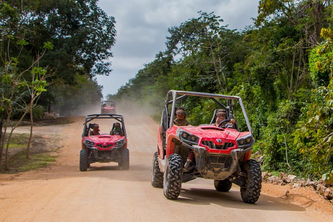 Jungle Buggy Tour from Playa del Carmen Including Cenote Swim - Taking the wheel on the 40-kilometer route