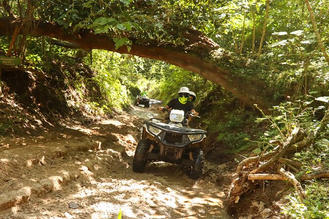 Jungle double ATV Tour "El Mirador" (ride tandem on ATV) - The guide makes a big difference