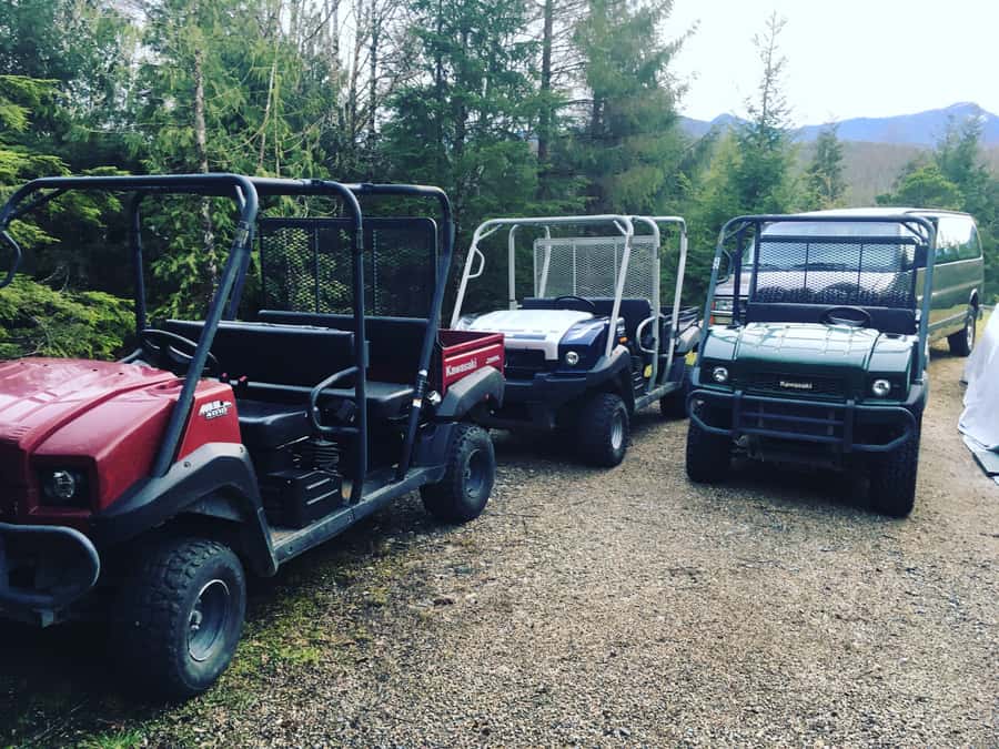 Ketchikan: Tongass Forest Alaska Bigfoot ATV Ride and Hike - Bigfoot stories with a theatrical twist
