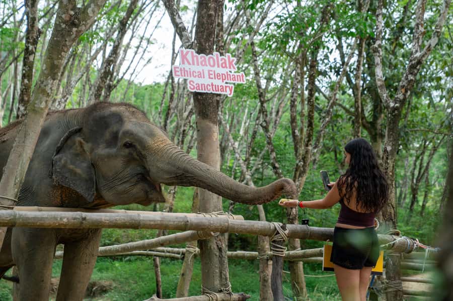 Khao Lak Multi-Adventure: Bamboo Rafting, ATV & Elephants - Booking flexibility and the final call