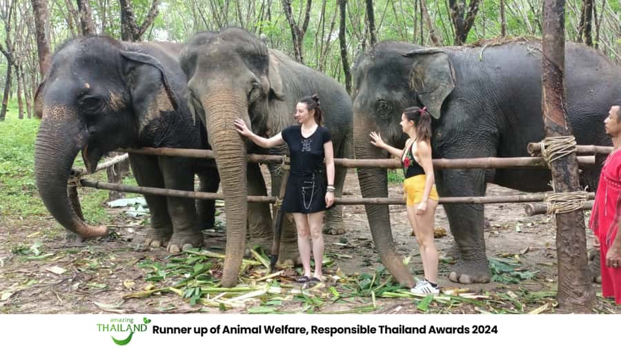 Khao Lak Wild ATV Quad Bike & Gentle Giants Experience - Key points to know before booking