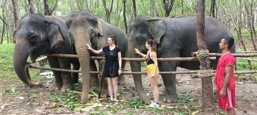 Khao Lak Wild ATV Quad Bike & Gentle Giants Experience - Why the two-part format works