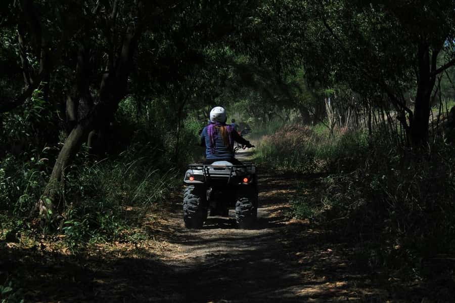 KhaoSok: Green Trails ATV Safari in Khao Sok - Beginner-friendly, but not effortless