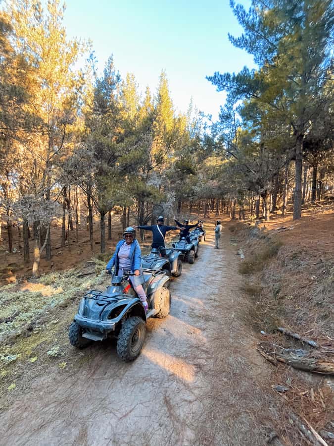 Knysna: Guided Quad Bike Tour in the Forest - Pine plantation or indigenous woodland?