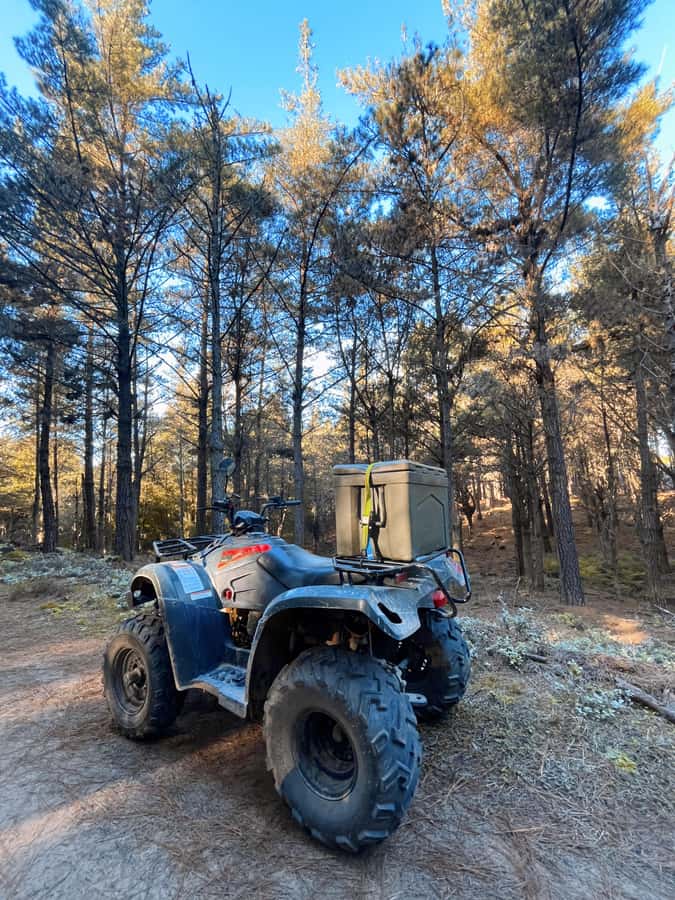 Knysna: Guided Quad Bike Tour in the Forest - Price and what you receive for R850