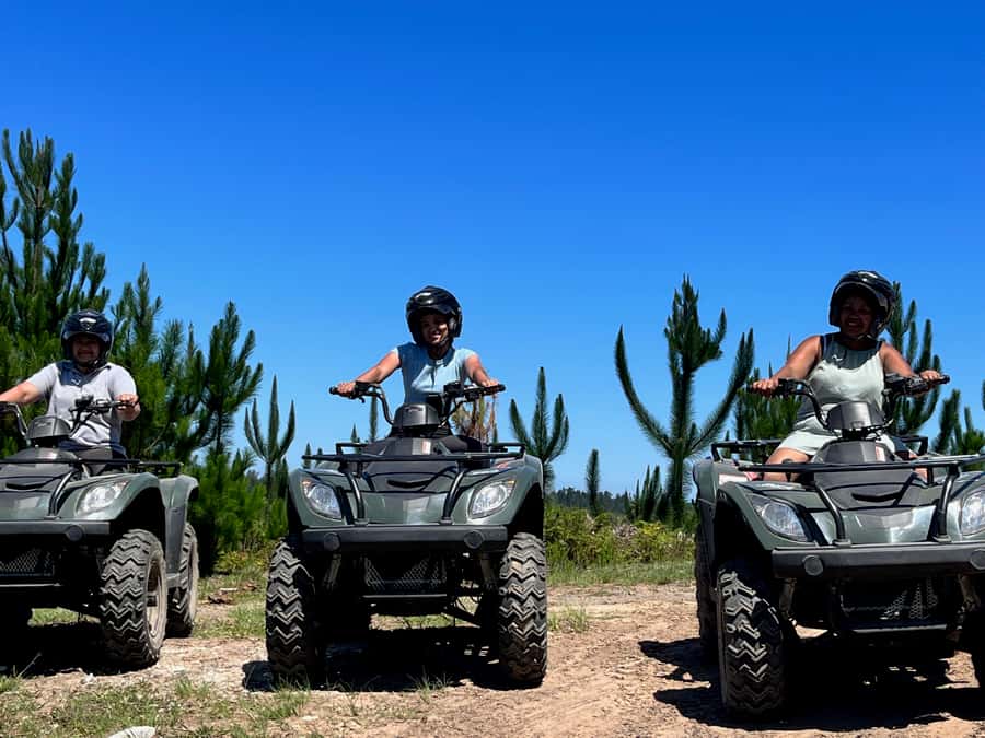 Knysna: Guided Quad Bike Tour in the Forest - Timing, weather, and comfort