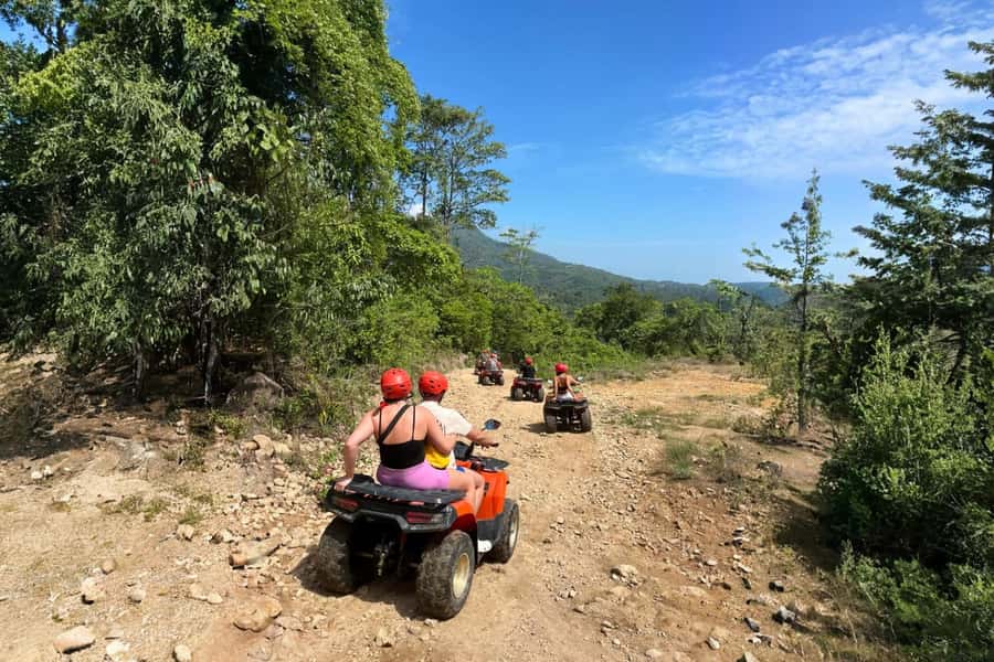 Koh Samui: 2-Hour Unique ATV Quad Bike Off-Road Adventure - Into Koh Samui’s forest by automatic quad