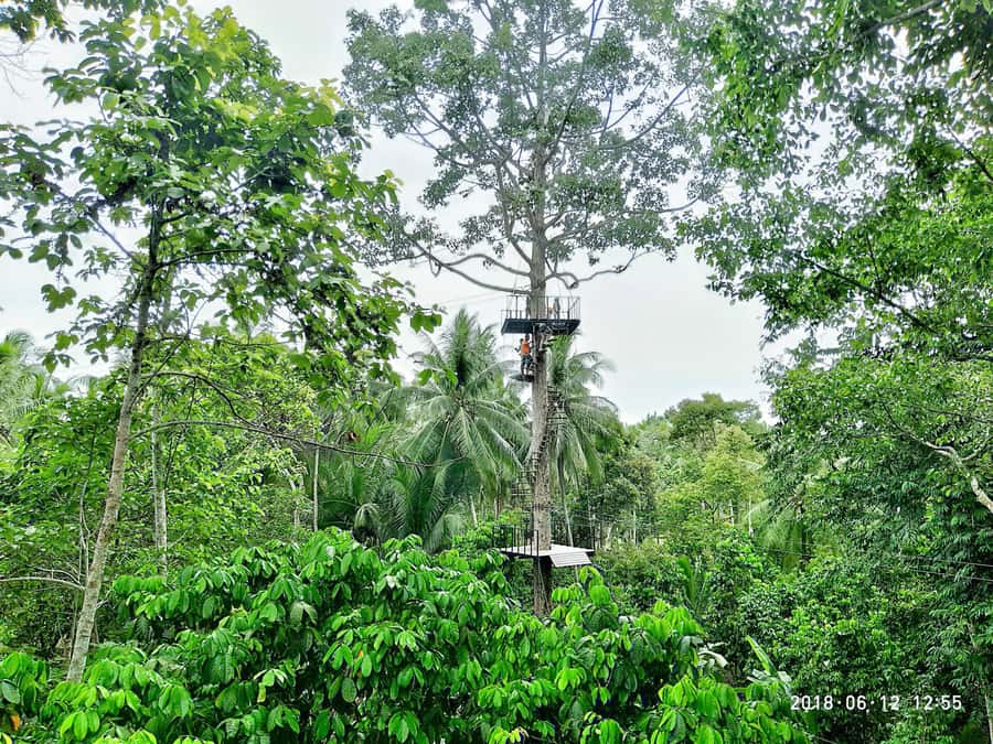 Koh Samui: ATV And Zipline Experience with Transfer - Getting started at the Samui Zipline facility