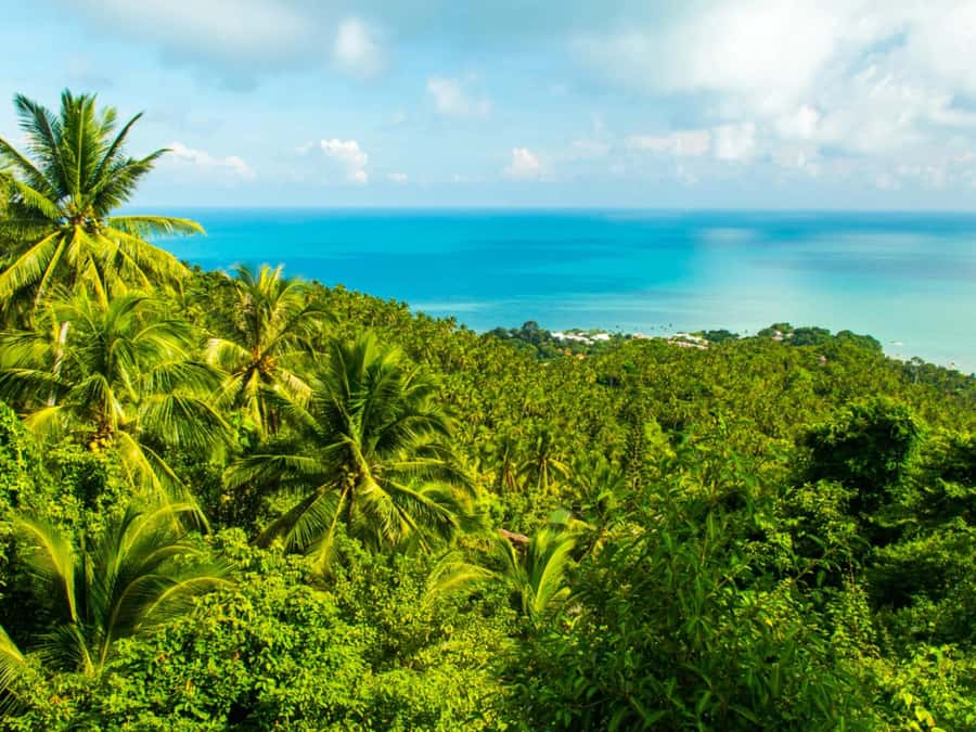 Koh Samui: Jungle, Mountains and Waterfalls ATV Tour - From your hotel to the Lamai base camp