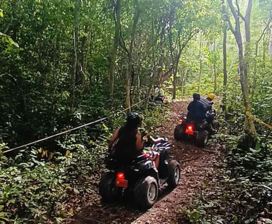 Koh Samui: Jungle, Mountains and Waterfalls ATV Tour - Rivers, plantations, and a change of pace