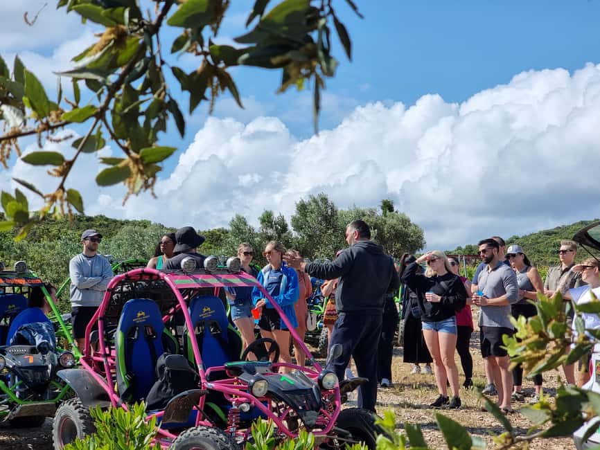 Korcula: Buggy Safari with Local Food and Wine Tasting - FAQ