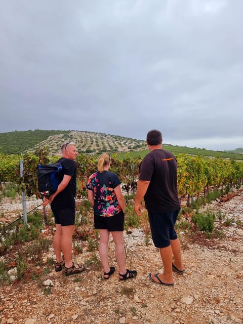 Korcula: Buggy Safari with Local Food and Wine Tasting - Is $129 good value for Korcula?