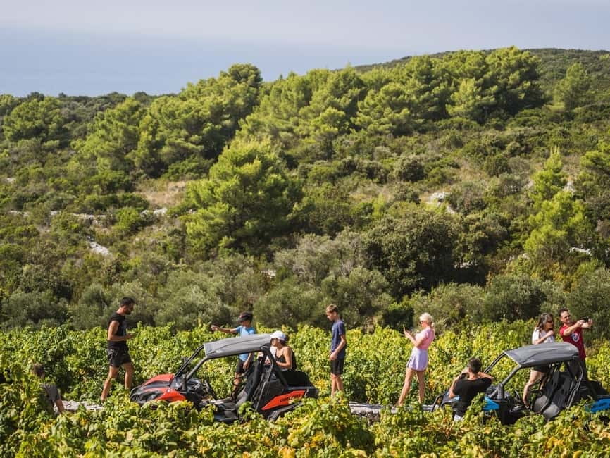 Korcula Buggy Safari With Wine Tasting - Who should book this Korcula outing?