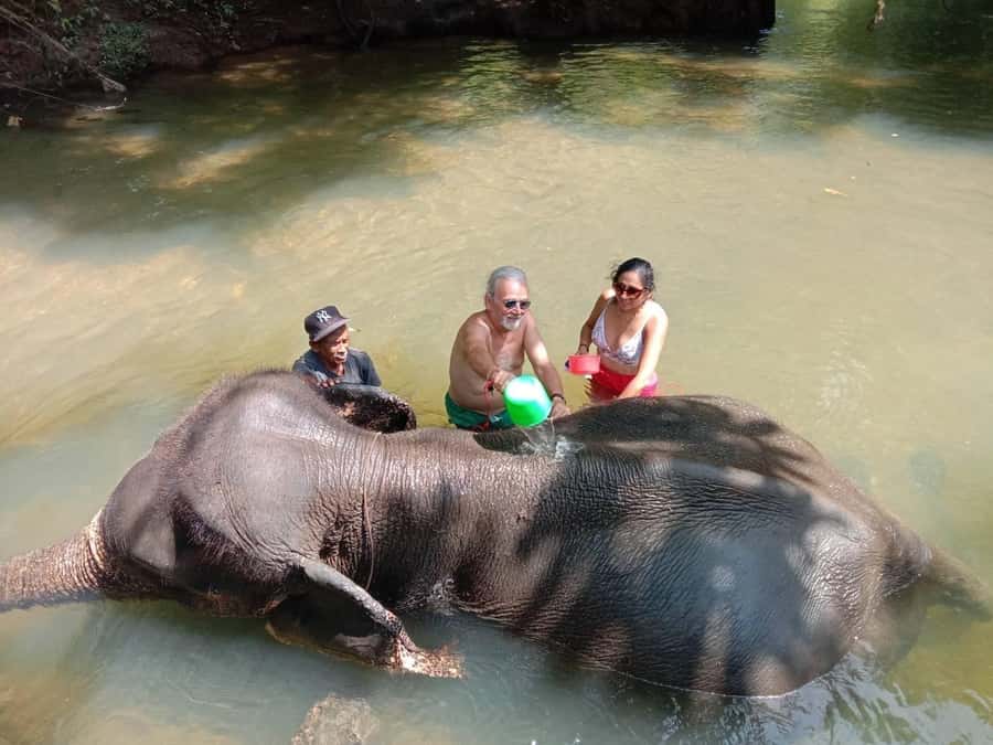 Krabi Elephant bathing and Atv adventure (30min/30min) - Two Krabi activities in one day