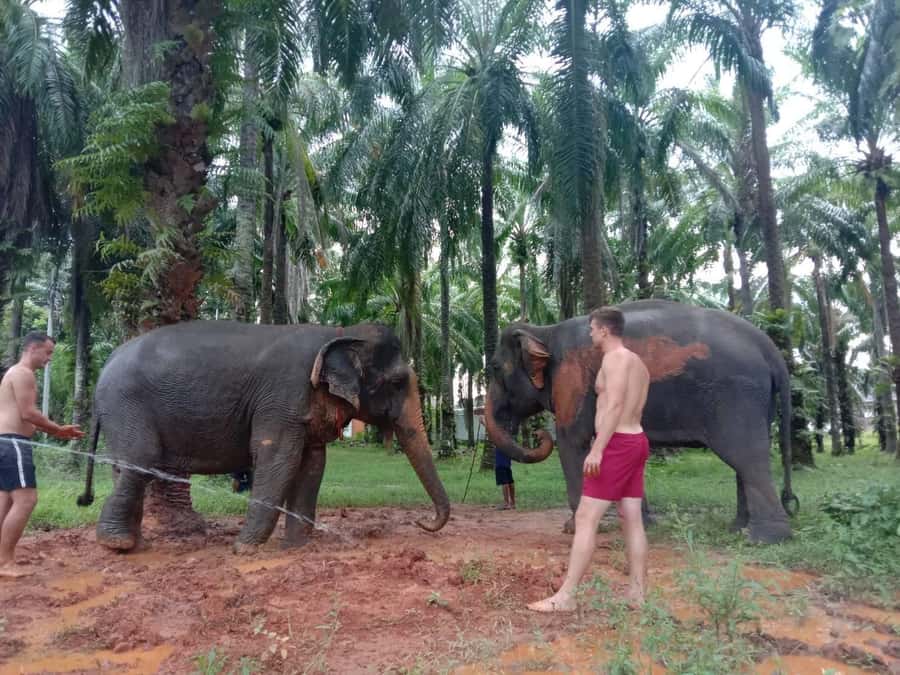 Krabi Elephant bathing and Atv adventure (30min/30min) - Switching from elephants to a 200cc ATV