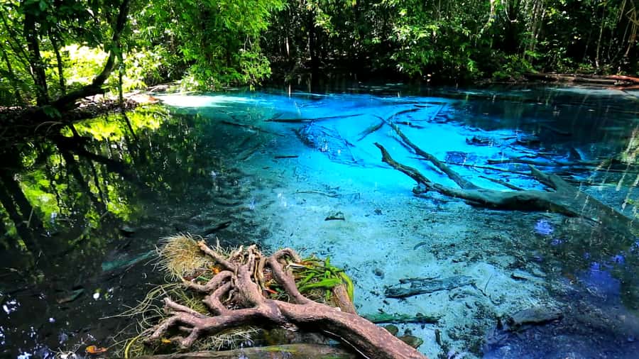 Krabi: Emerald Pool and Hot Spring Waterfall with ATV Riding - What this Krabi day actually covers