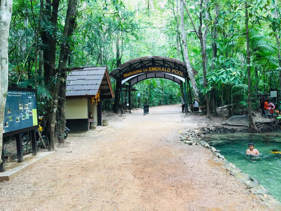 Krabi: Emerald Pool and Hot Spring Waterfall with ATV Riding - The 45-minute ATV ride through jungle tracks