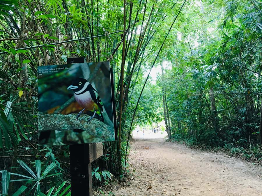 Krabi: Emerald Pool and Hot Spring Waterfall with ATV Riding - What to bring and how to prepare