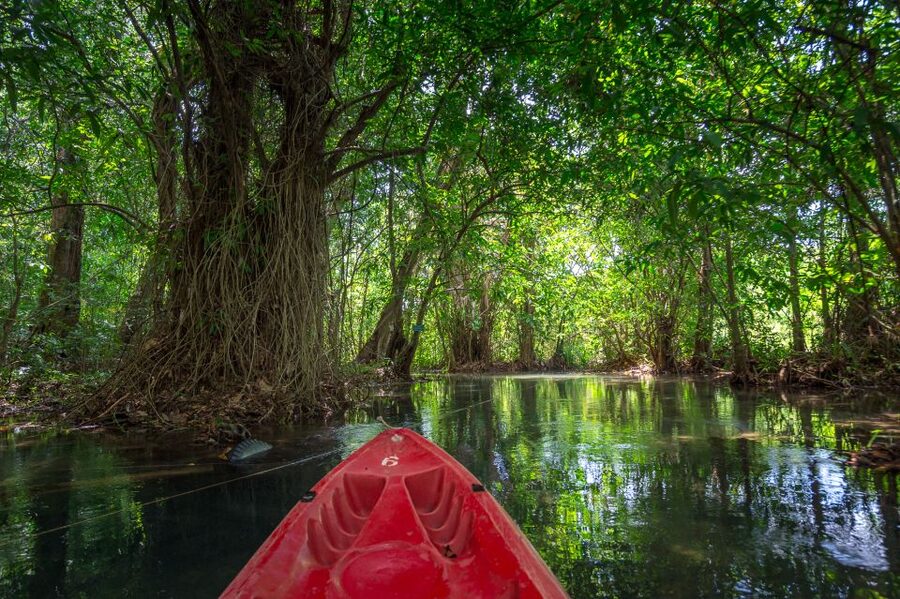 Krabi: Half-Day Blue Lagoon Kayaking at Klong Srakaew & ATV - Should you book the Klong Srakaew tour?