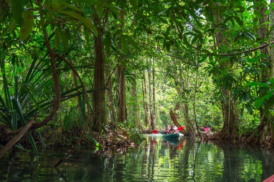 Krabi: Half-Day Blue Lagoon Kayaking at Klong Srakaew & ATV - Lunch, fruit, water, and the small touches