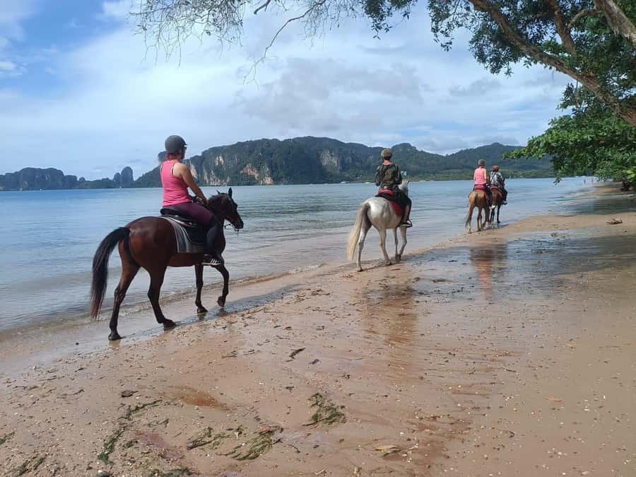 Krabi Horse Riding on the Beach and atv Extreme - Key points to know before booking
