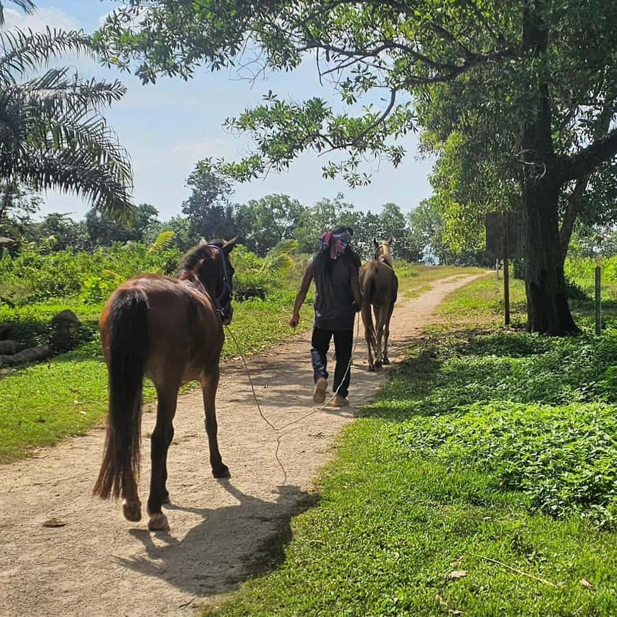 Krabi Horse Riding on the Beach and atv Extreme - Practical ways to prepare