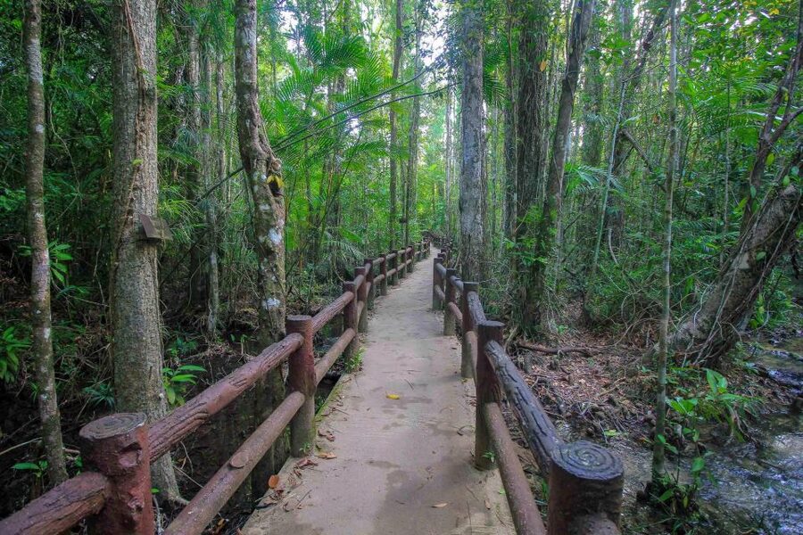 Krabi Outback Explorer with Thrilling ATV Ride - Key points to know before booking