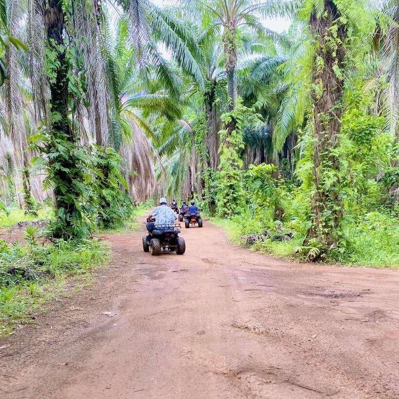 Krabi: Saitai Mountain Tail ATV Adventure - Booking details worth knowing