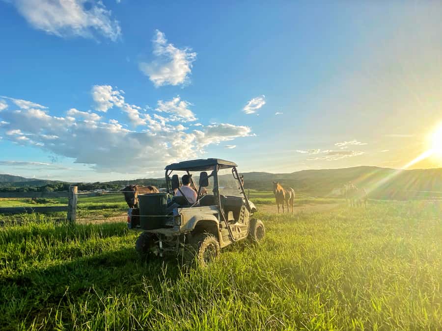 Kuranda: Quad Ride Bike and petting farm - Key points to know before you book