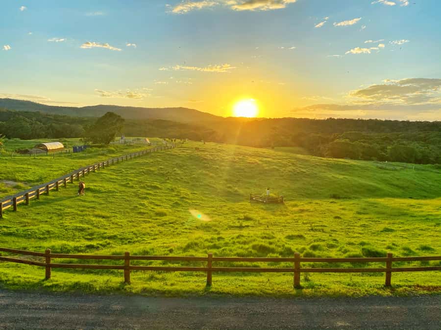 Kuranda: Quad Ride Bike and petting farm - One hour on the ATV through paddocks and rainforest