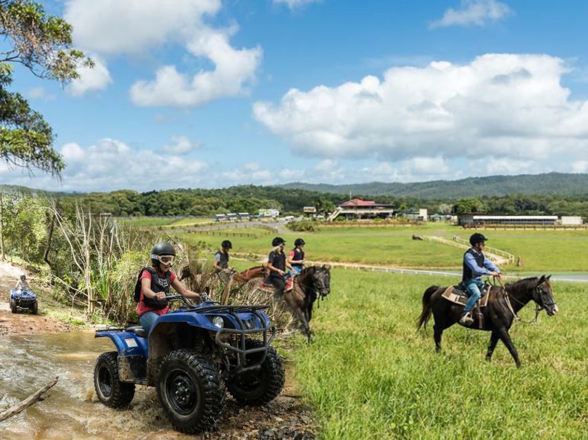 Kuranda: Quad Ride Bike and petting farm - The animal area adds a softer second half
