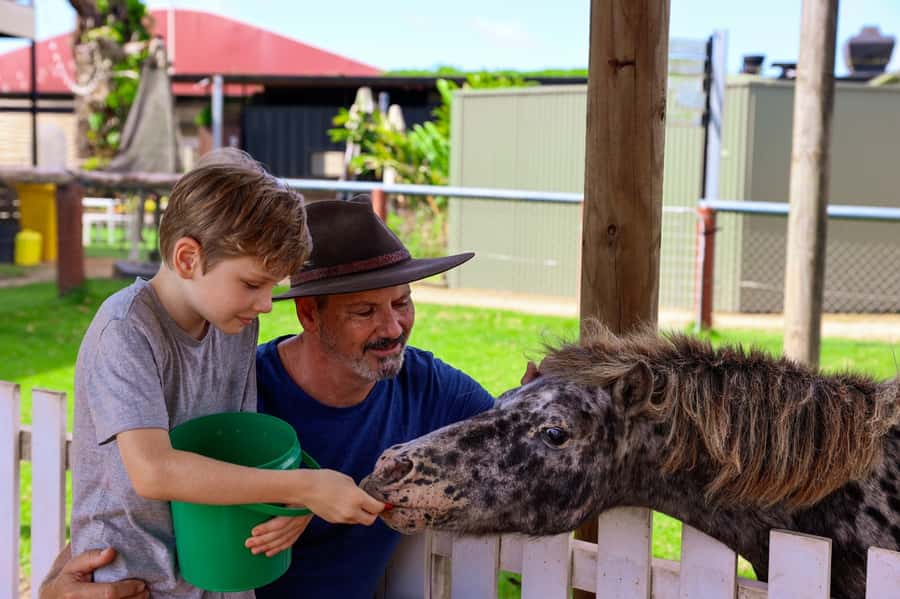 Kuranda: Quad Ride Bike and petting farm - Who will enjoy this most