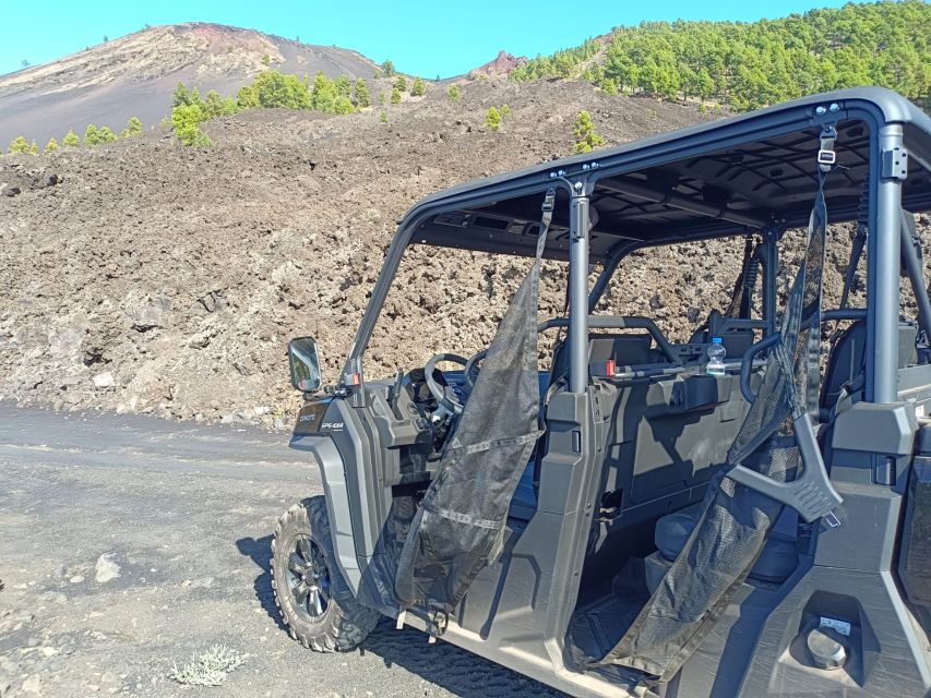 La Palma: Volcano Route Buggy Tour (Price Per Vehicle) 2 PAX - Pine forest tracks in Cumbre Vieja Natural Park