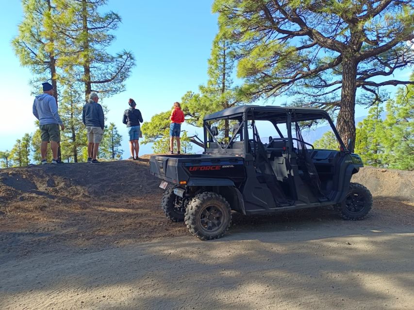 La Palma: Volcano Route Buggy Tour (Price Per Vehicle) 2 PAX - Weather, clothing, and the small practical details