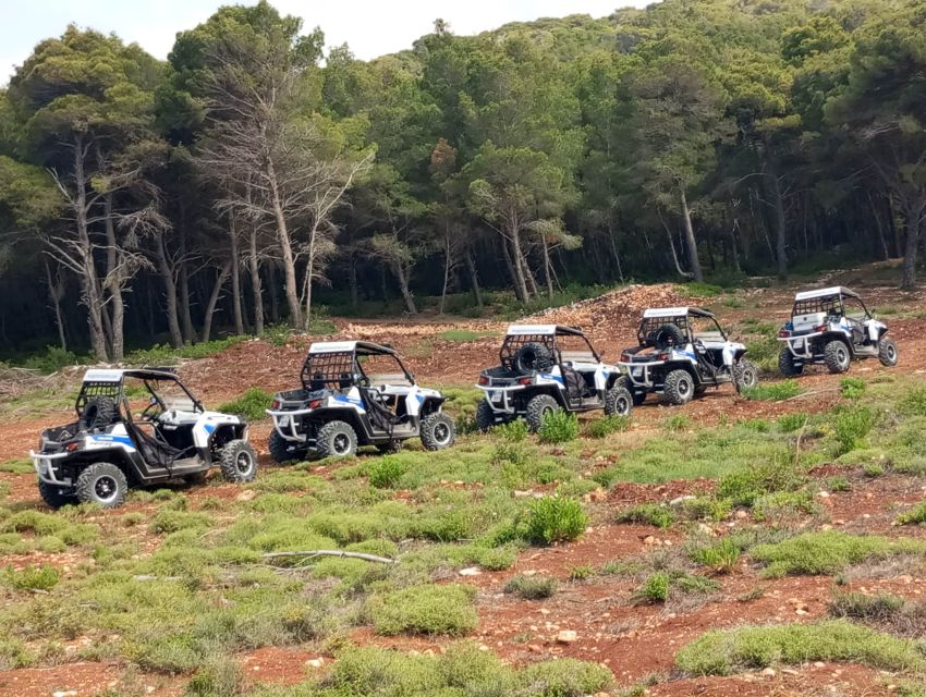 Laganas: Off-Road Buggy Adventure in Zakynthos with Lunch - Who will enjoy this Zakynthos adventure?