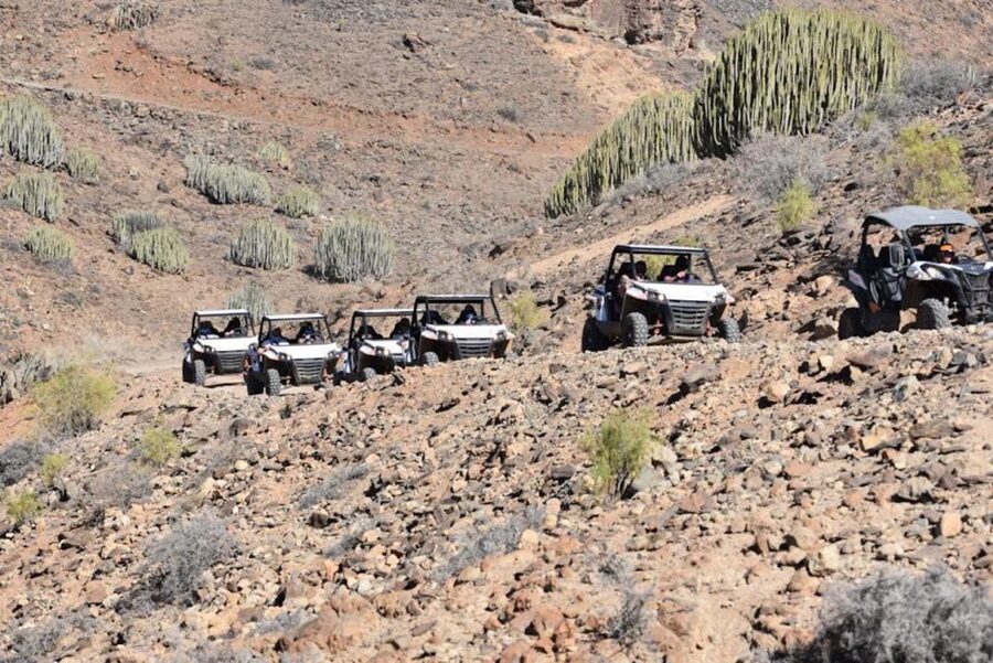 Las Palmas: Gran Canaria Guided Buggy Tour - Key points at a glance