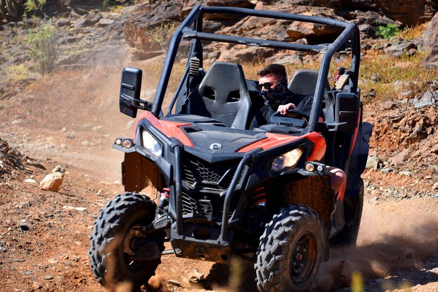 Las Palmas: Gran Canaria Guided Buggy Tour - What the $141 price really buys you