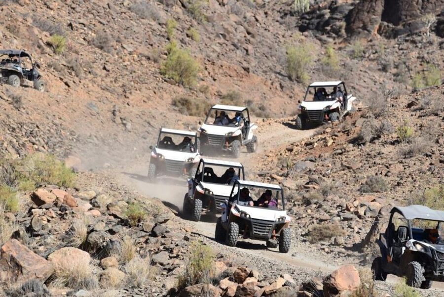 Las Palmas: Gran Canaria Guided Buggy Tour - Tips for making the ride better