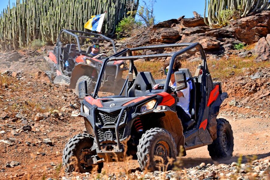 Las Palmas: Gran Canaria Guided Buggy Tour - Is this Gran Canaria buggy tour worth booking?