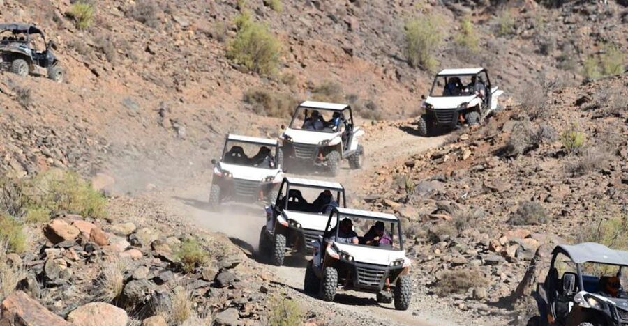 Las Palmas: Gran Canaria Guided Buggy Tour - What driving a buggy on 100% off-road tracks feels like