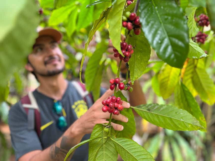 Las Terrenas: Private Coffee Trail ATV Tour in Samana - Leaving Las Terrenas for the Ruta del Cafe