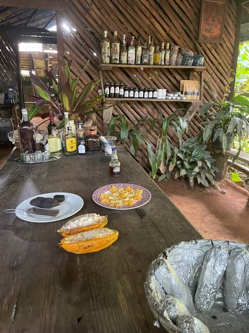 Las Terrenas: Private Coffee Trail ATV Tour in Samana - Safety, comfort, and driving ability