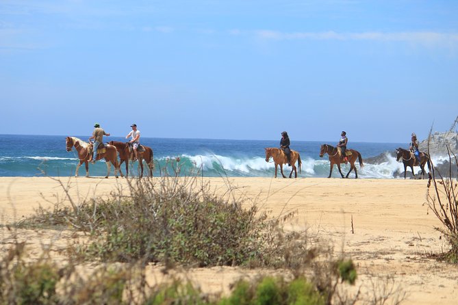 Los Cabos ATV and Pacific Horseback Riding Combo Tour - Two Baja rides, not one repetitive excursion