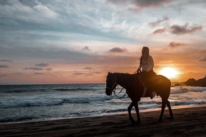Los Cabos ATV and Pacific Horseback Riding Combo Tour - Is $111.43 a fair price?