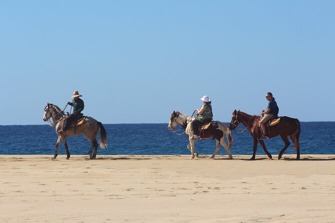Los Cabos ATV and Pacific Horseback Riding Combo Tour - Who will enjoy this tour most?