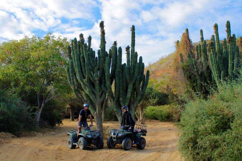 Los cabos:ATV beach&desert with transfer & tequila tasting - Beach horseback riding and the information mismatch