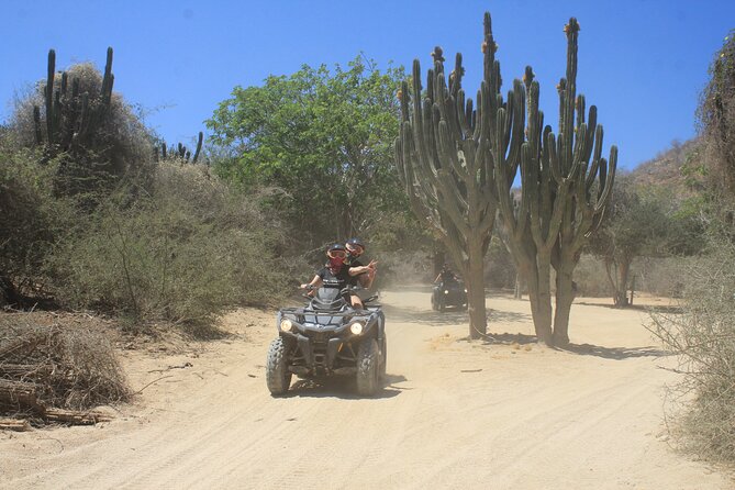 Los Cabos Beach & Desert Tour in Automatic ATV + Tequila Tasting - Tequila tasting after the ride
