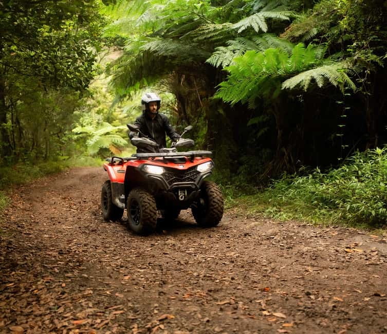 Madeira: Aventura Off-Road de ATV ou Quad - Adrenalina - Quick points before you book