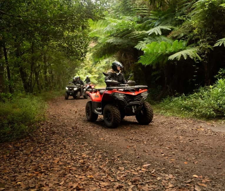 Madeira: Aventura Off-Road de ATV ou Quad - Adrenalina - Casa das Funduras: the ride begins to feel wild